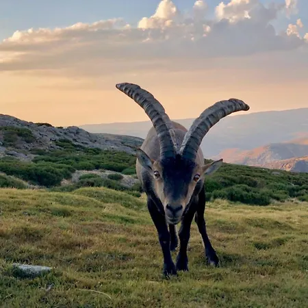 El Patio - Casa De Uso Turistico Daire *